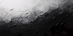 黑白纹理抽象艺术画面