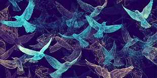 梦幻飞鸟抽象艺术图案