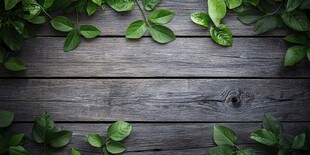 木质背景上的翠绿叶片