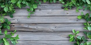 绿叶环绕的木质背景