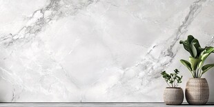 大理石背景的绿植装饰