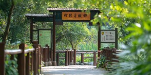 静谧林间景区入口