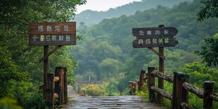 山林木牌指引自然探索路