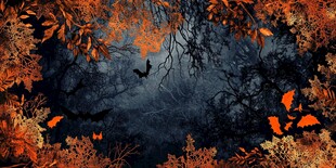 秋夜蝙蝠与落叶神秘景象