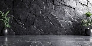 石墙绿植室内简约空间