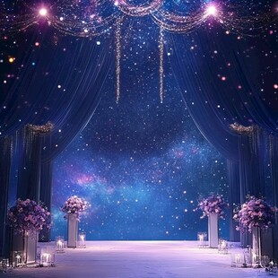 梦幻星空主题婚礼场景