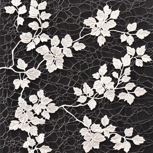 白色枝叶纹理装饰图案