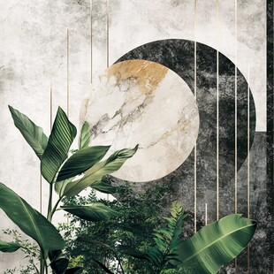 现代风植物与几何元素背景