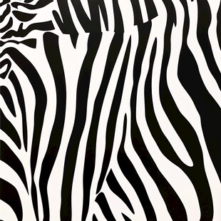 斑马纹图案纹理特写