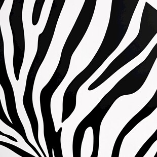 斑马纹图案背景纹理