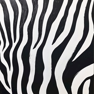 斑马纹图案 黑白艺术纹理