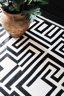 黑白几何图案地板与盆栽