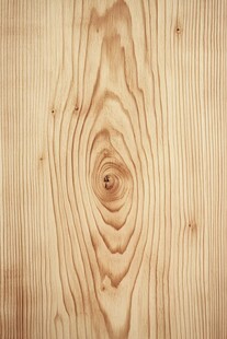 浅色松木纹理特写