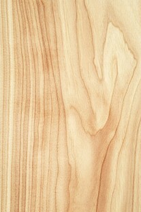 浅色木纹纹理高清图