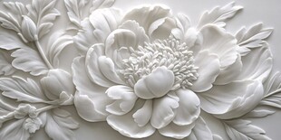 白色浮雕牡丹花卉图案