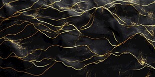 黑金纹理背景 奢华质感