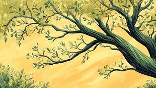 春日大树插画 枝叶繁茂