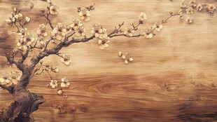 木上绽放的雅致杏花枝