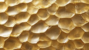 金色鳞片状纹理图案