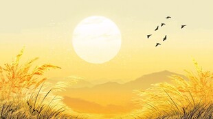 夕阳下的原野与飞鸟美景