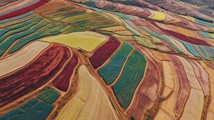 五彩斑斓的大地田园景观