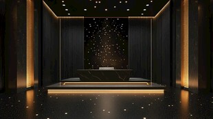 豪华黑金风格接待空间