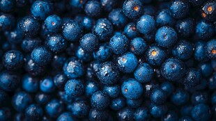 饱满多汁的蓝莓特写