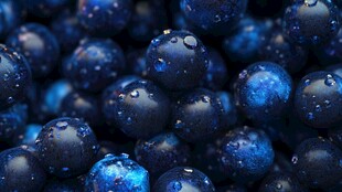 饱满蓝莓带水珠超诱人