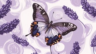 蝶舞薰衣草间梦幻图景