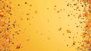 金黄秋叶飘落唯美场景