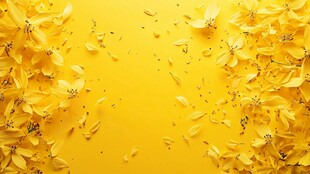 黄色花瓣铺就的绚丽背景