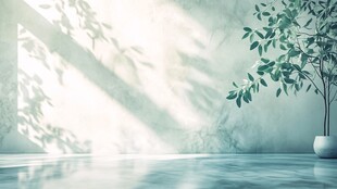 室内绿植与光影静谧空间