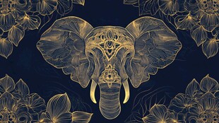 金色大象花卉装饰图案