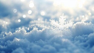 阳光下的晶莹雪花