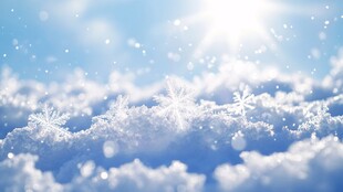 冬日雪景下的闪耀雪花