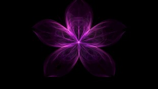 梦幻紫色炫光花朵图案