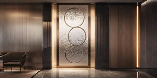 现代奢华室内装饰艺术门
