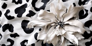 黑白花纹上的立体花朵