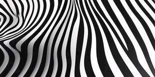 黑白条纹动感抽象图案