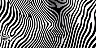 黑白斑马纹抽象图案背景