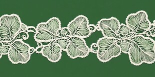 绿色背景上的白色蕾丝花边