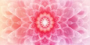 梦幻粉色花朵抽象背景图