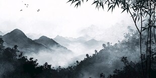 水墨山林间 竹影伴飞鸟