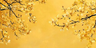 金黄繁花枝头绽