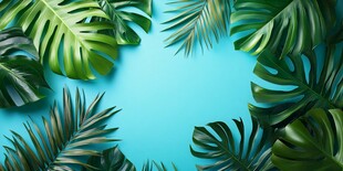 蓝底热带植物叶装饰图