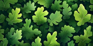 翠绿橡树叶的生机画面