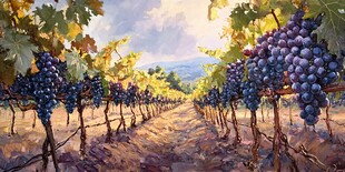 葡萄园风光油画