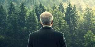 老人凝视茂密森林景致