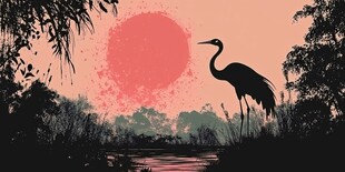 夕阳下的鹭鸟剪影