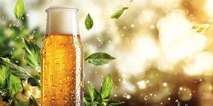 清凉啤酒与绿叶的惬意组合